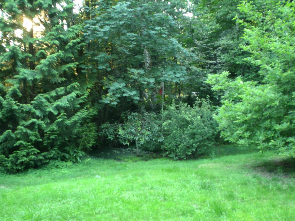 锡谢尔特Davis Brook Retreat住宿加早餐旅馆 外观 照片