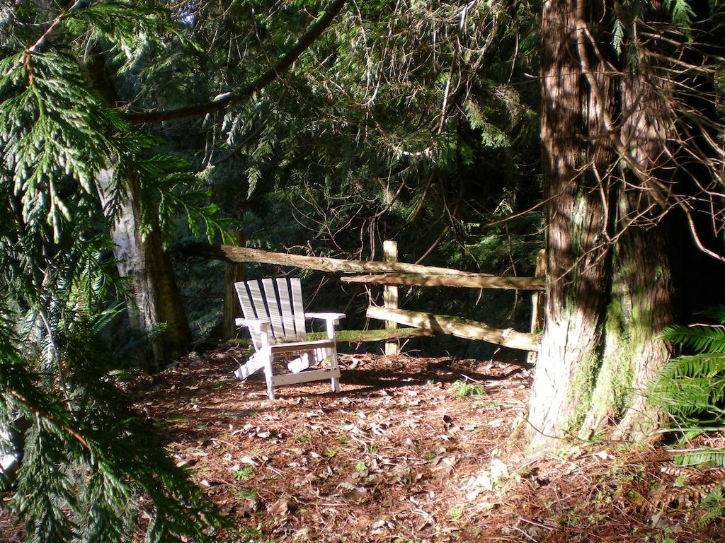 锡谢尔特Davis Brook Retreat住宿加早餐旅馆 外观 照片
